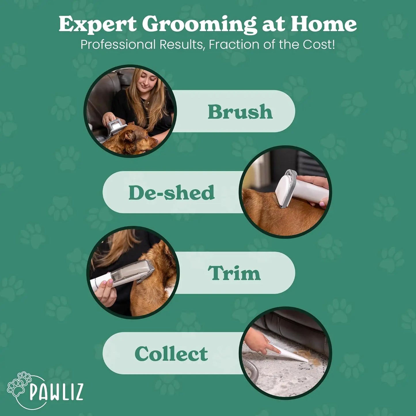 Dog Hair Vacuum & Grooming Kit |