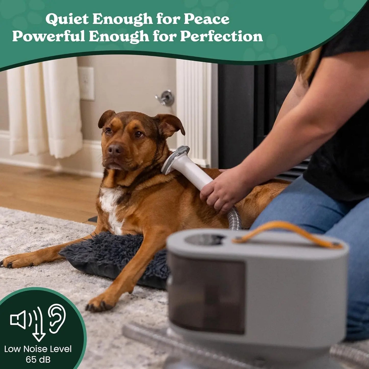 Dog Hair Vacuum & Grooming Kit |