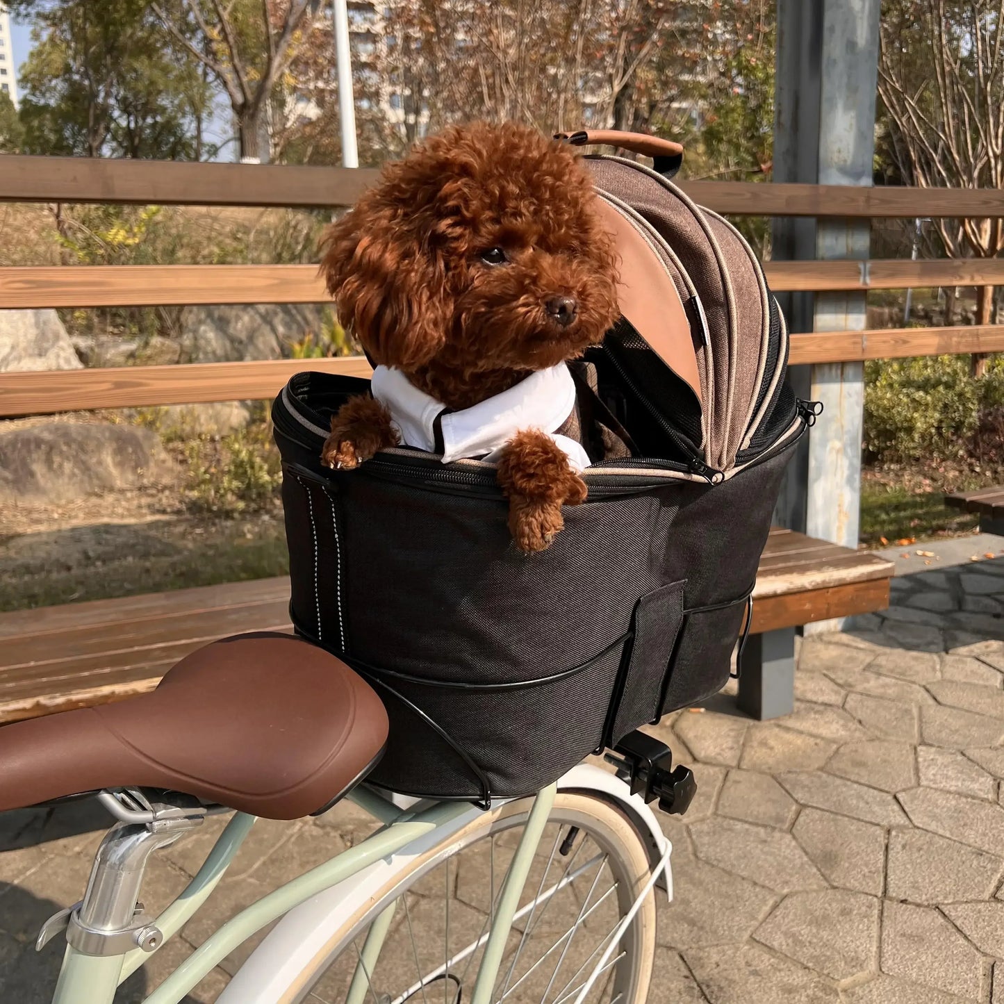 Bicycle Rack Bike Riding