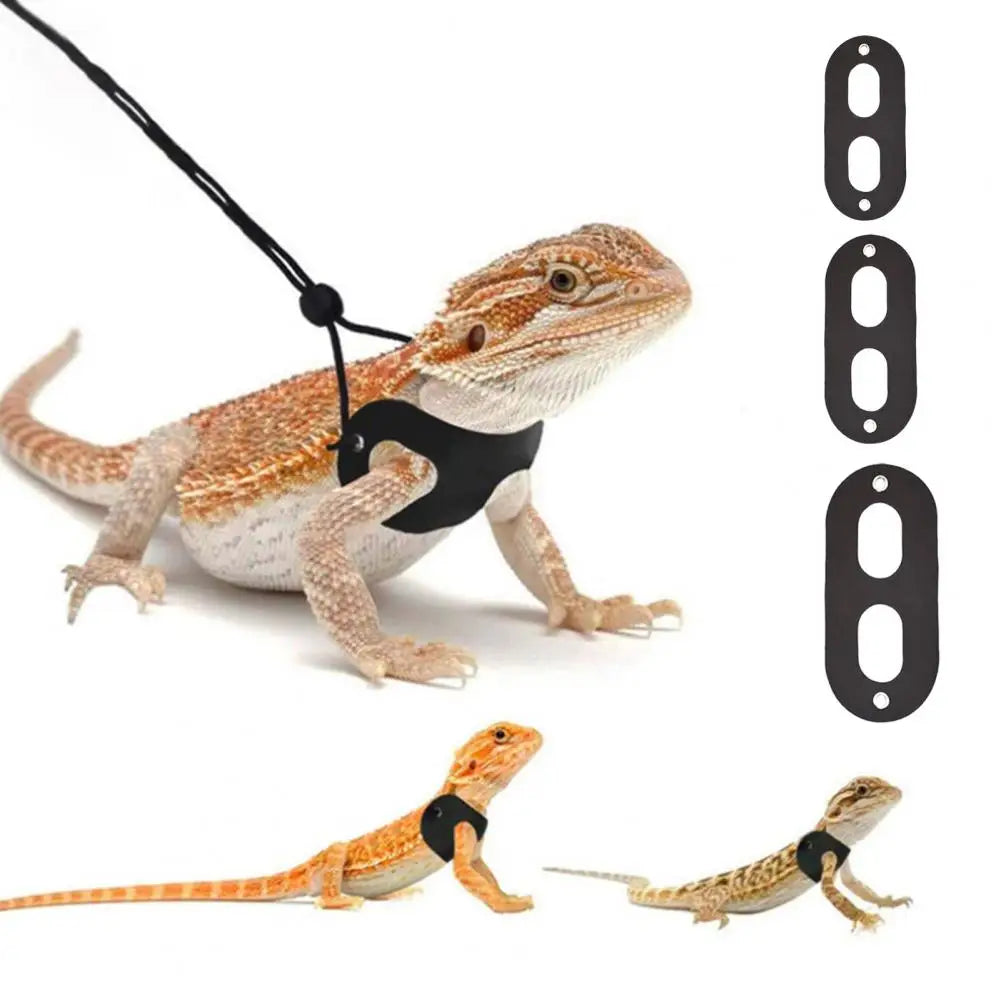 1 Set Durable Lizard Leash
