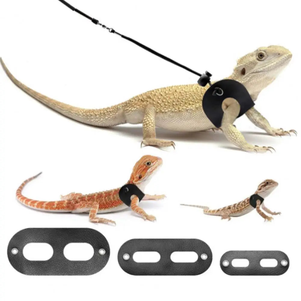 1 Set Durable Lizard Leash