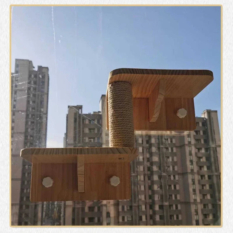 Glass Wall Cat Climbing Frames