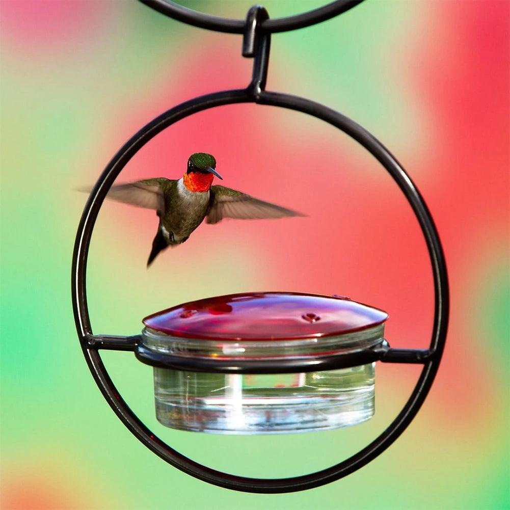 Hummingbird Drinker Feeder