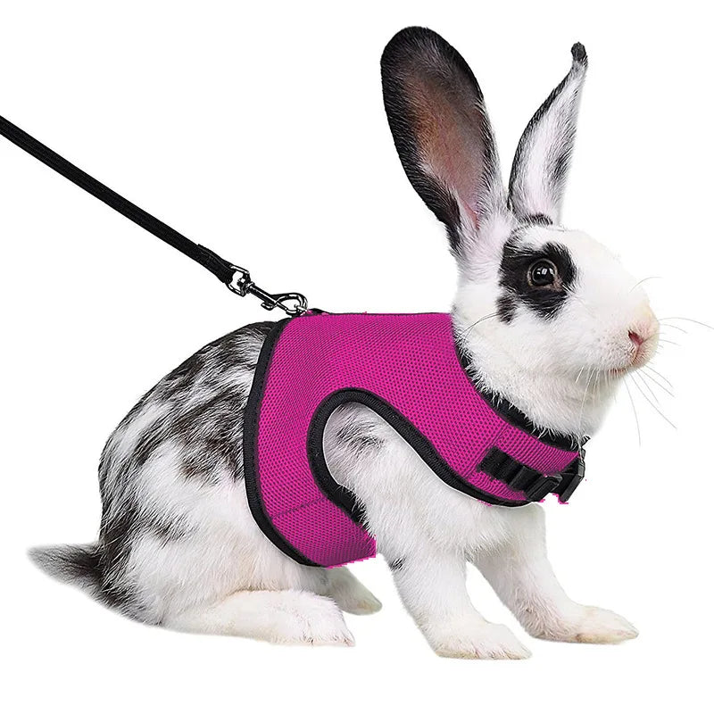 Mesh Breathable Pet leash