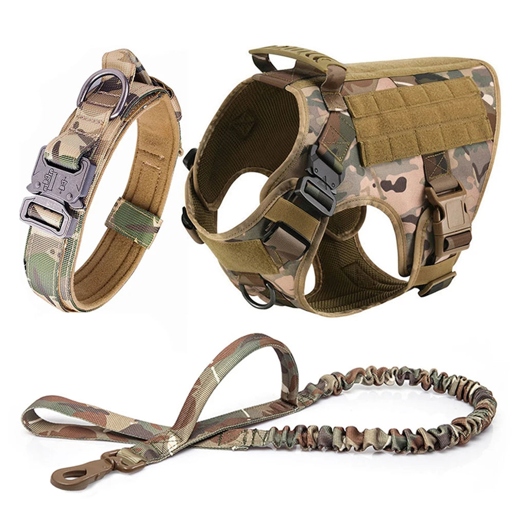 Dog Harness and Leash Set