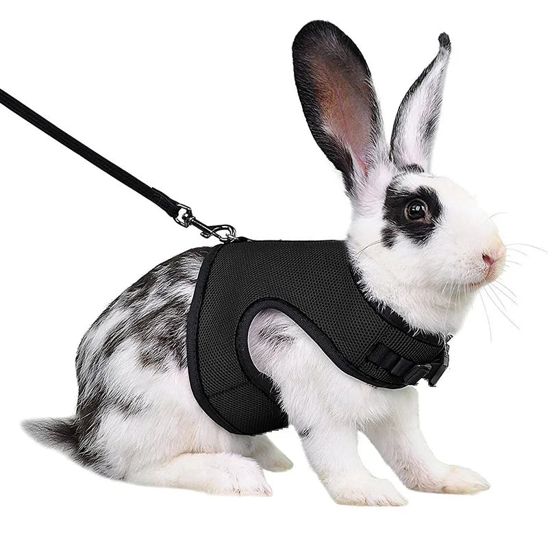 Mesh Breathable Pet leash