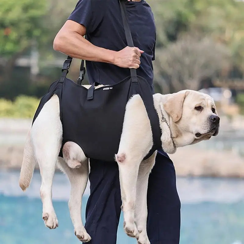 Dog Lift Harness