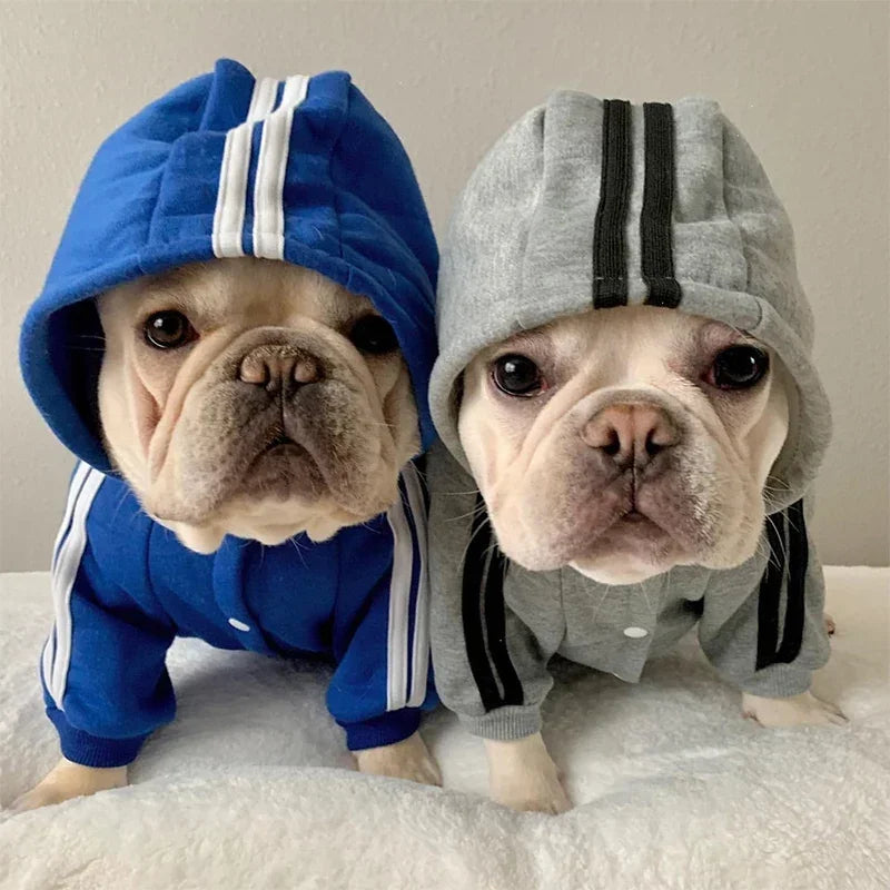 Dog Jumpsuit