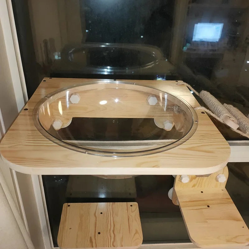 Glass Wall Cat Climbing Frames