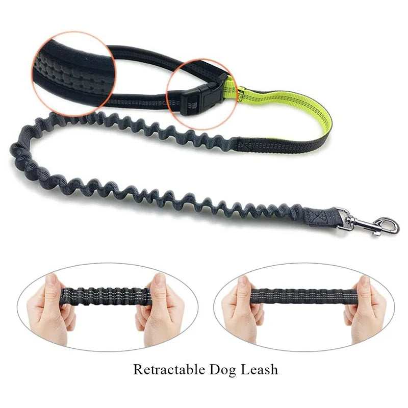 Dog Leash Running Multi-functional Belt Bag