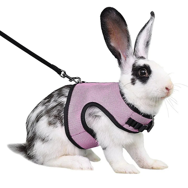 Mesh Breathable Pet leash