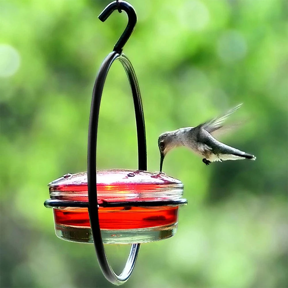 Hummingbird Drinker Feeder