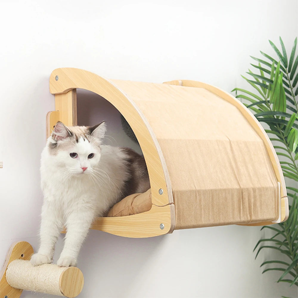Climbing Ladder and Cat Hammocks