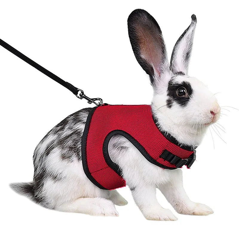 Mesh Breathable Pet leash