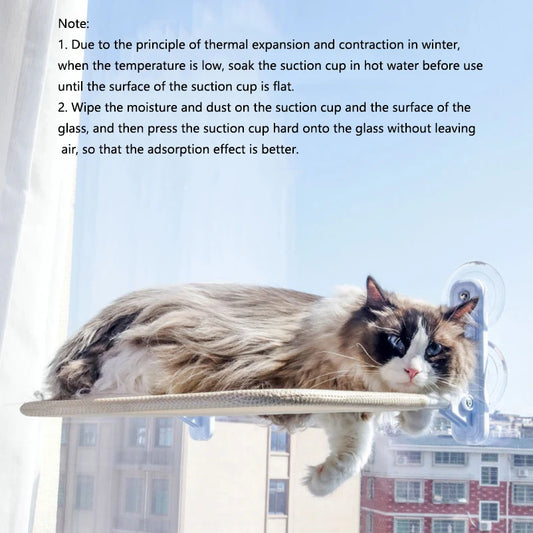 Cat hanging nest