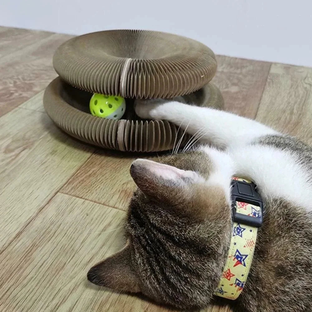 Interactive Cat Scratching Cardboard Toy