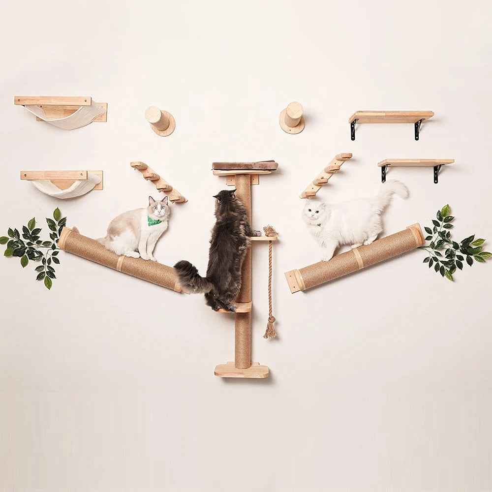 Climbing Ladder and Cat Hammocks
