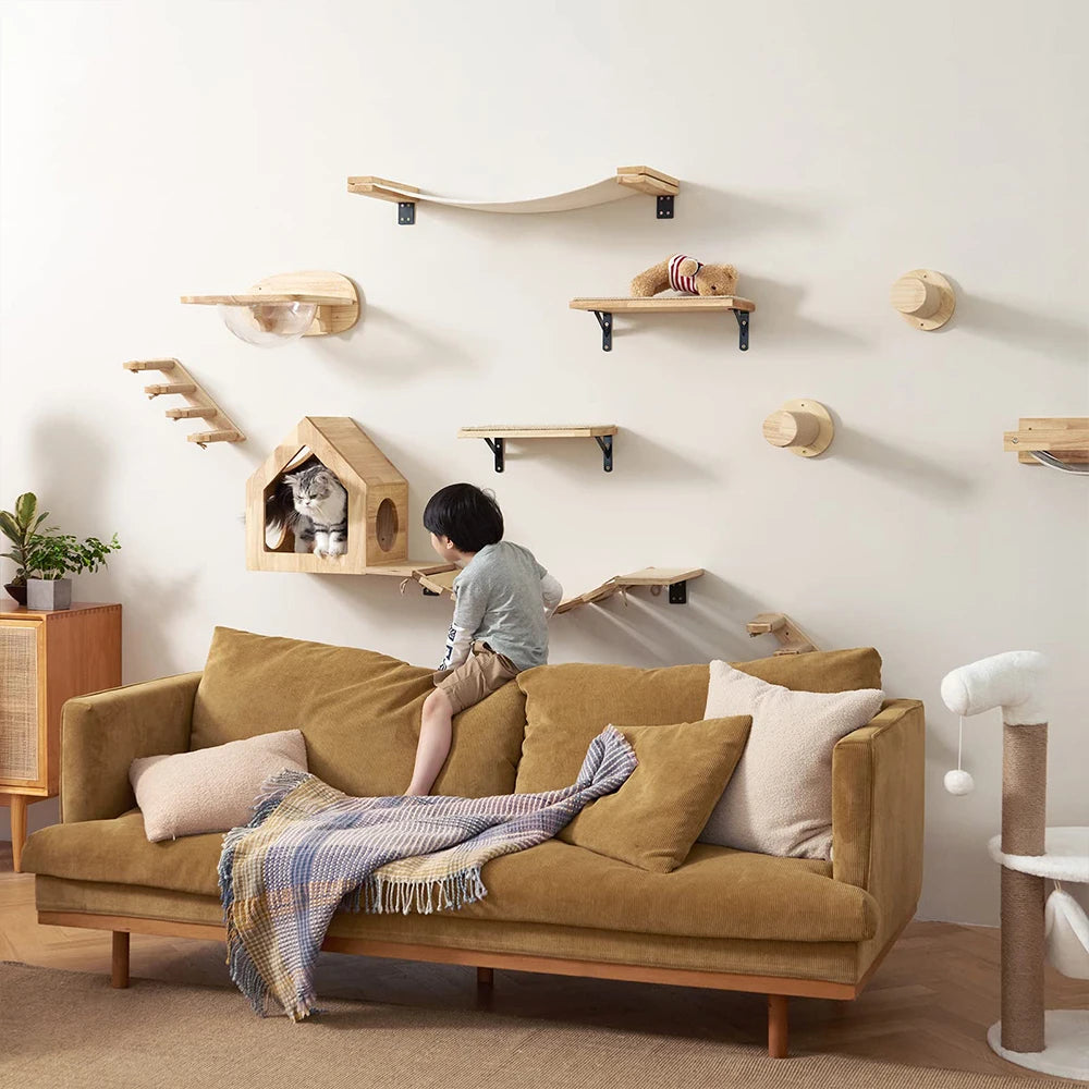 Climbing Ladder and Cat Hammocks