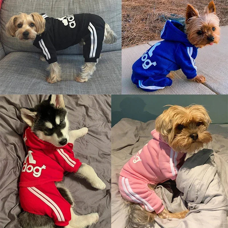 Dog Jumpsuit
