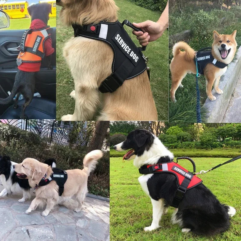 Reflective Service Dog Harness Vest,