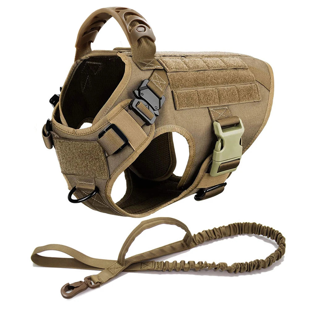 Dog Harness and Leash Set