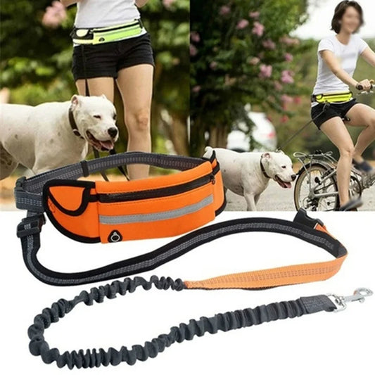 Dog Leash Running Multi-functional Belt Bag