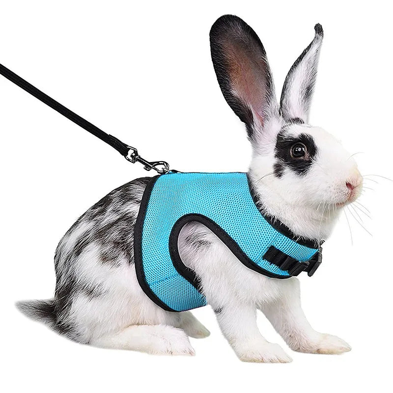 Mesh Breathable Pet leash