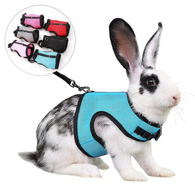 Mesh Breathable Pet leash