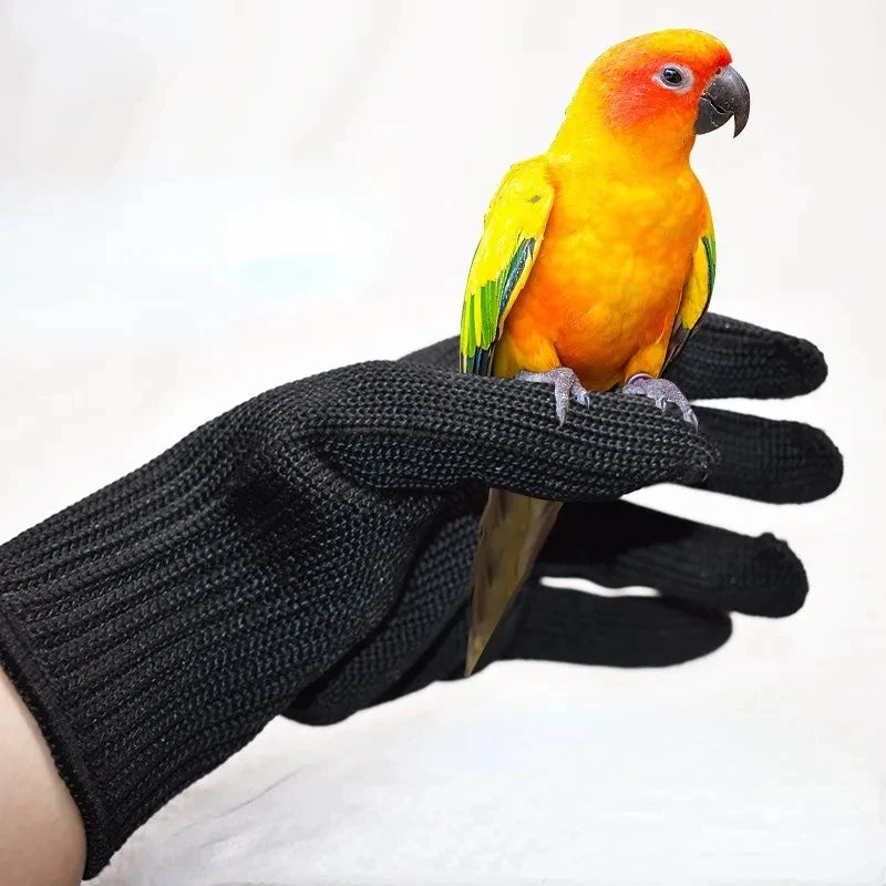 Gloves Parrot Anti-bite Gloves Pet Catch