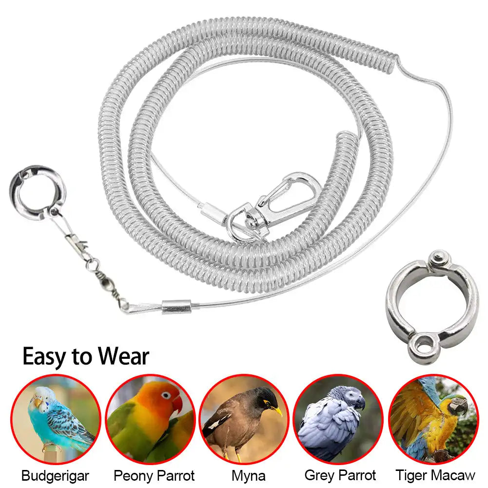 3M/6M Parrot Bird Flying Training Leash
