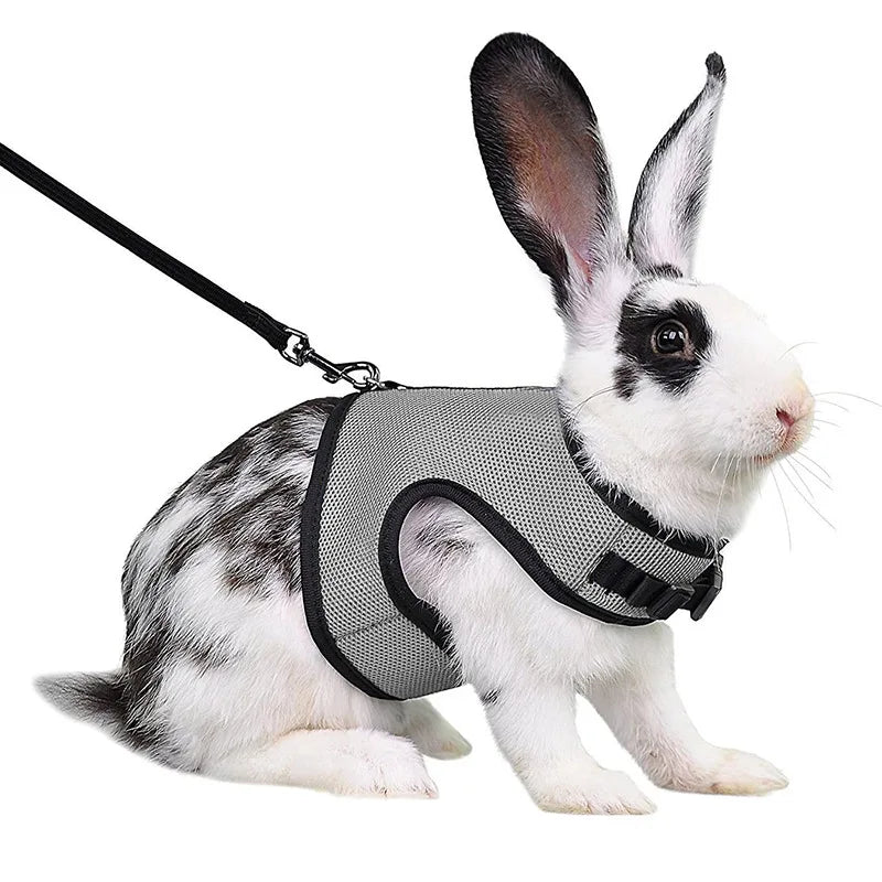 Mesh Breathable Pet leash