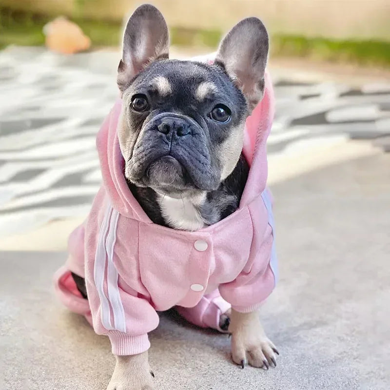 Dog Jumpsuit