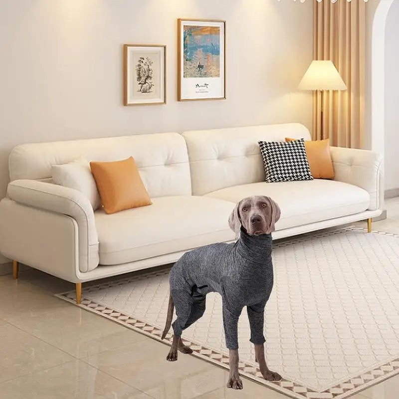 Dog Shedding Suit