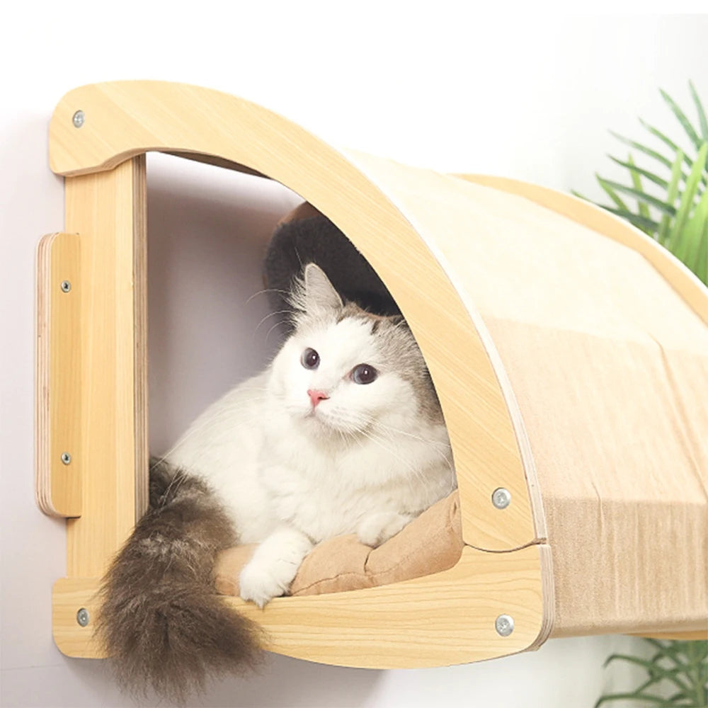 Climbing Ladder and Cat Hammocks