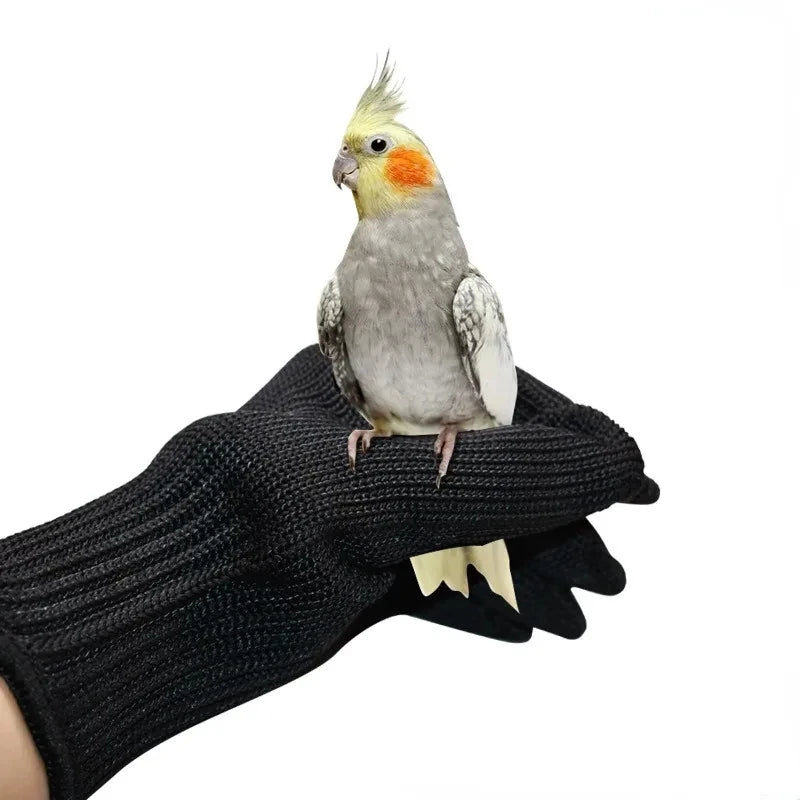 Gloves Parrot Anti-bite Gloves Pet Catch