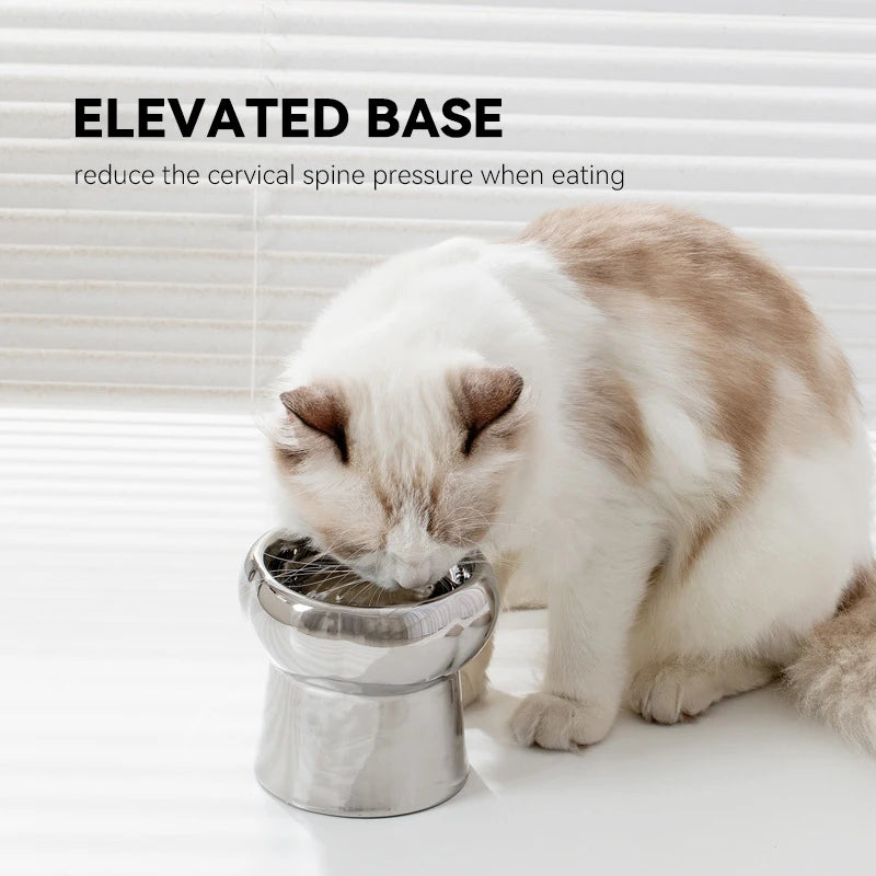 Cat Electroplating Ceramic Bowl