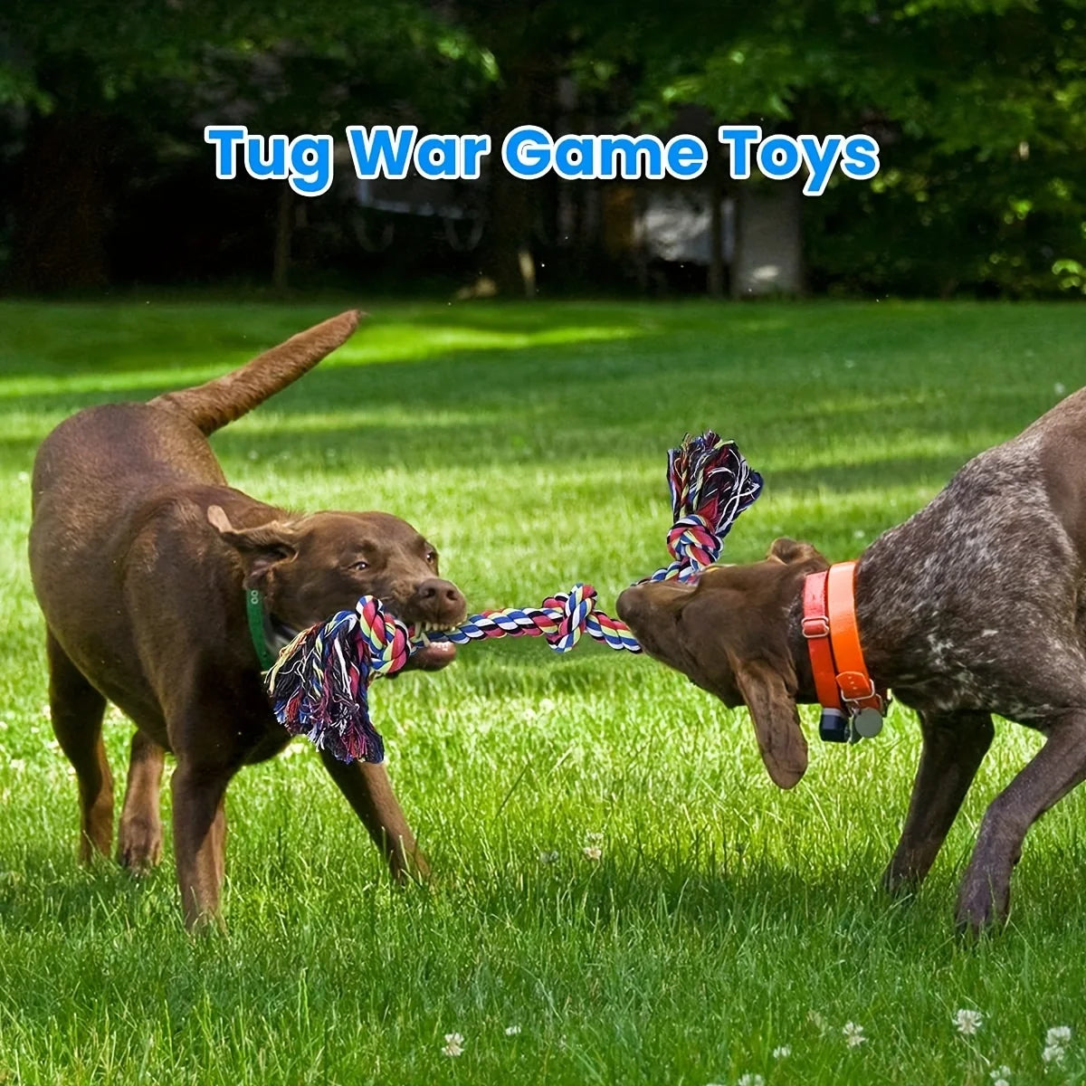 Indestructible Durable Dog Chew Toy