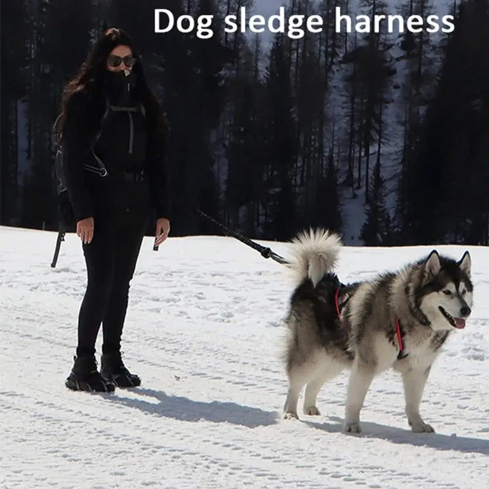 Elastic Dog Harness Reflective Pet Harness
