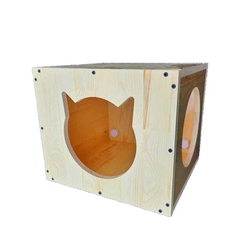 Glass Wall Cat Climbing Frames