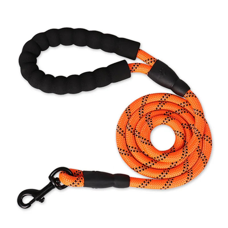 Reflective Dog Leash With Padded Handle