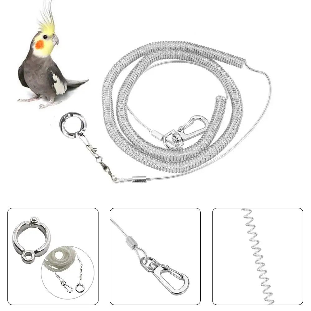 3M/6M Parrot Bird Flying Training Leash