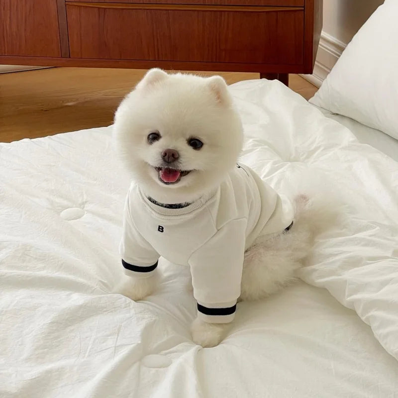 Winter Warm Pet Dog Clothes Fashion Cotton Dog Clothes Costume Small French Bulldog Print Spring Autumn Gary Boy Mascotas