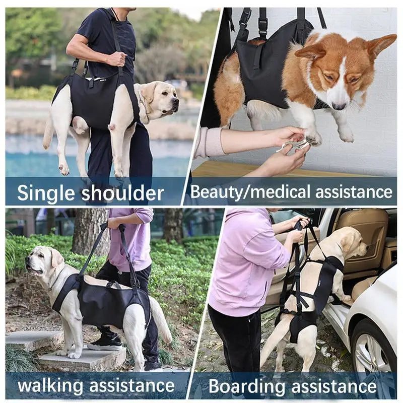 Dog Lift Harness