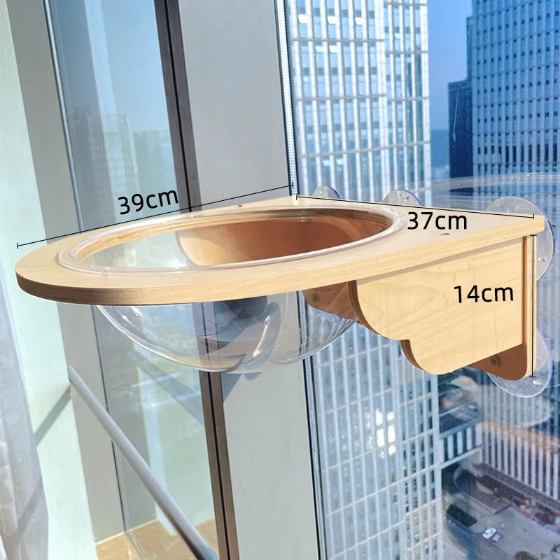 Glass Wall Cat Climbing Frames