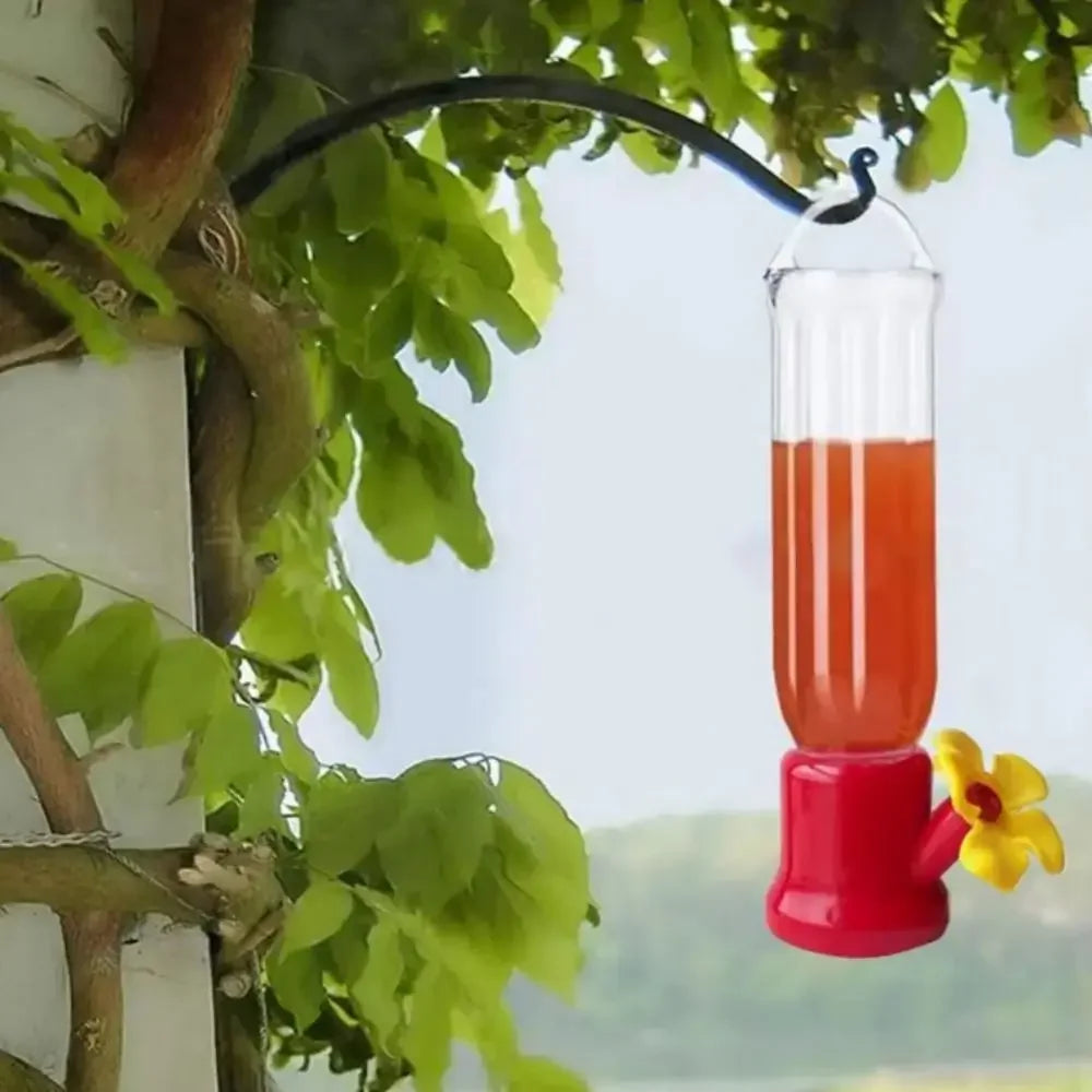 Hummingbird Feeders