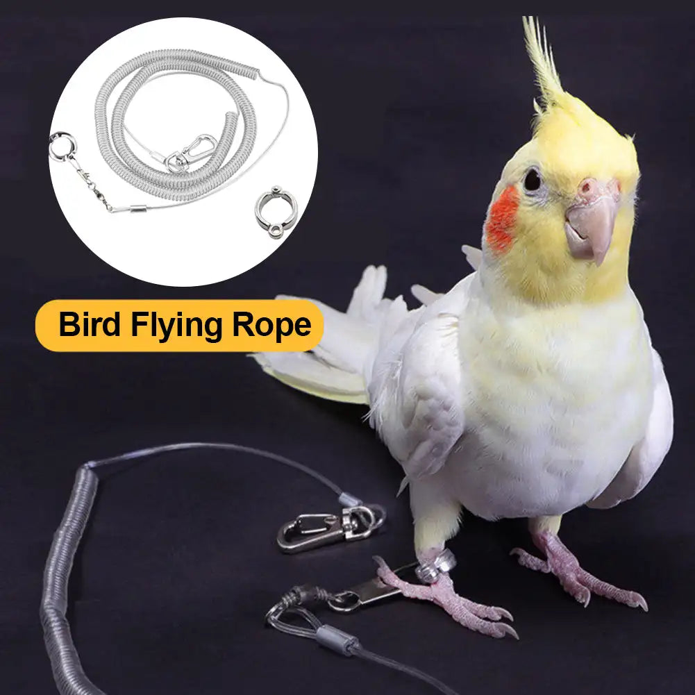 3M/6M Parrot Bird Flying Training Leash