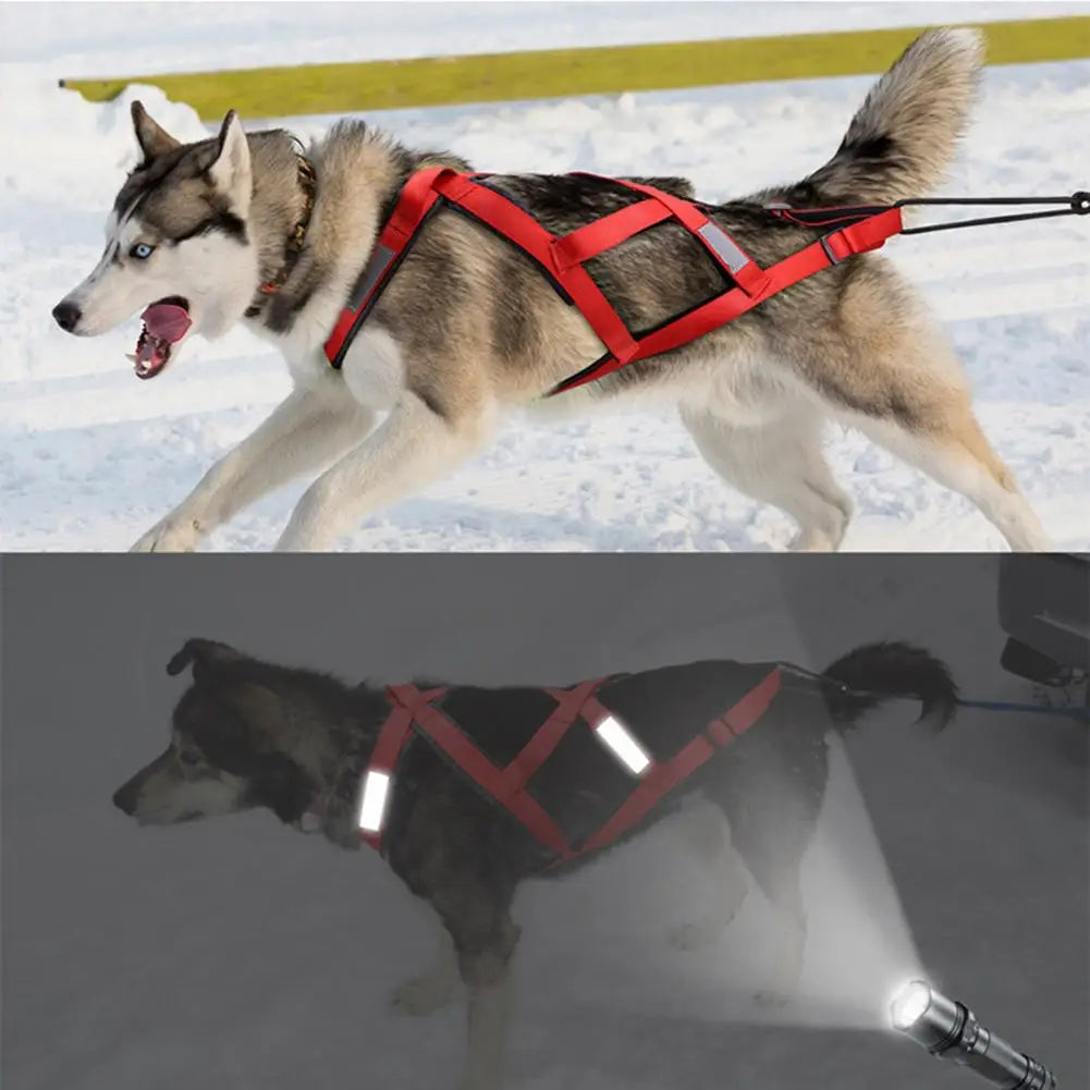 Elastic Dog Harness Reflective Pet Harness