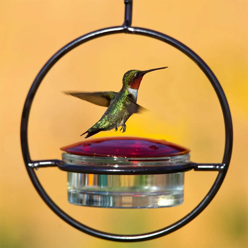 Hummingbird Drinker Feeder