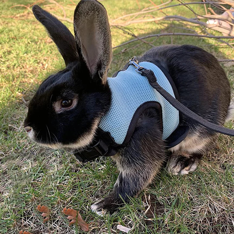 Mesh Breathable Pet leash