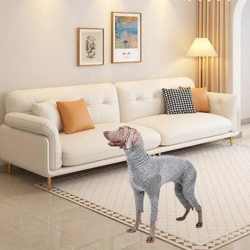 Dog Shedding Suit
